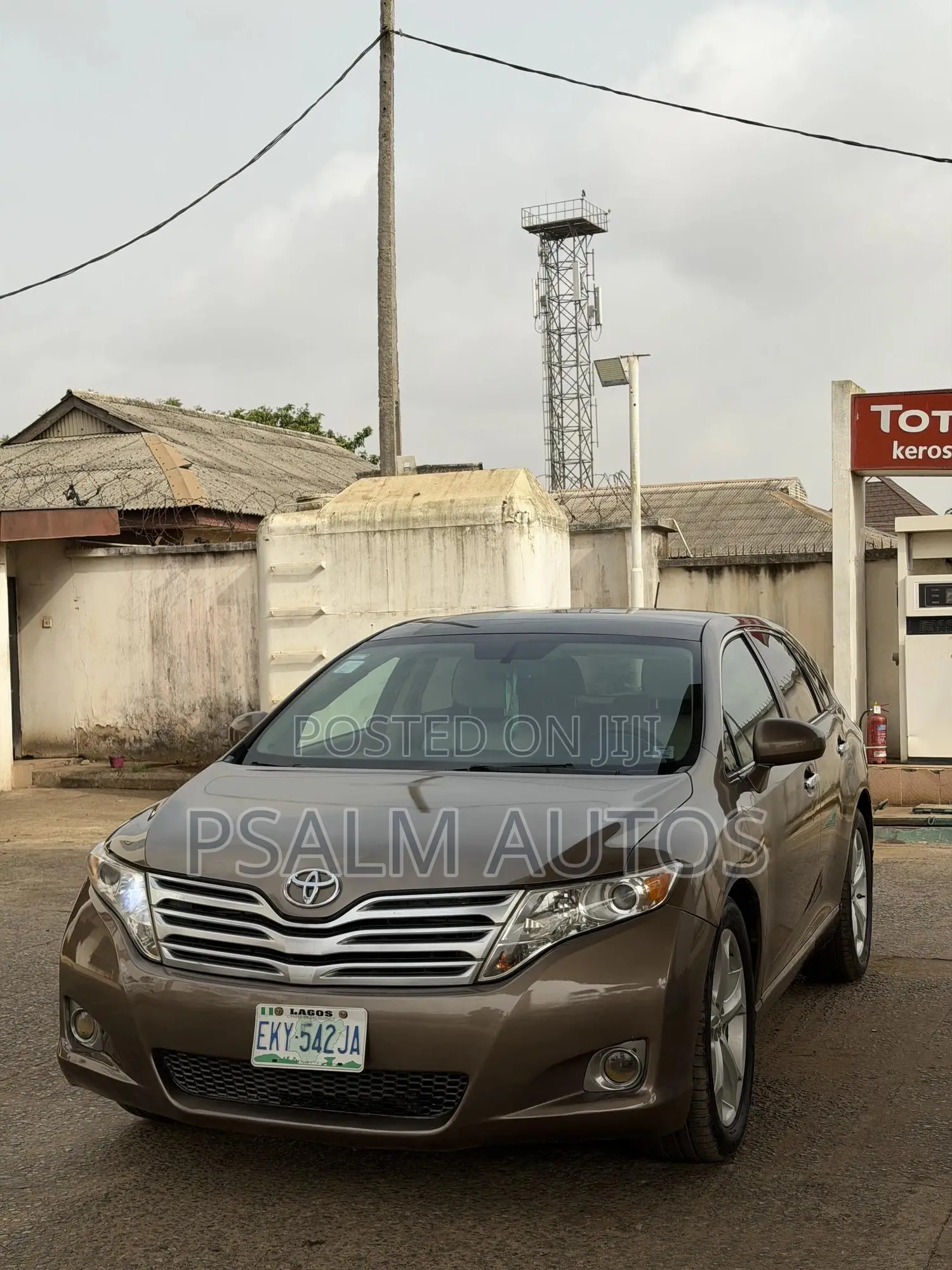 Toyota Venza 2010 Beige
