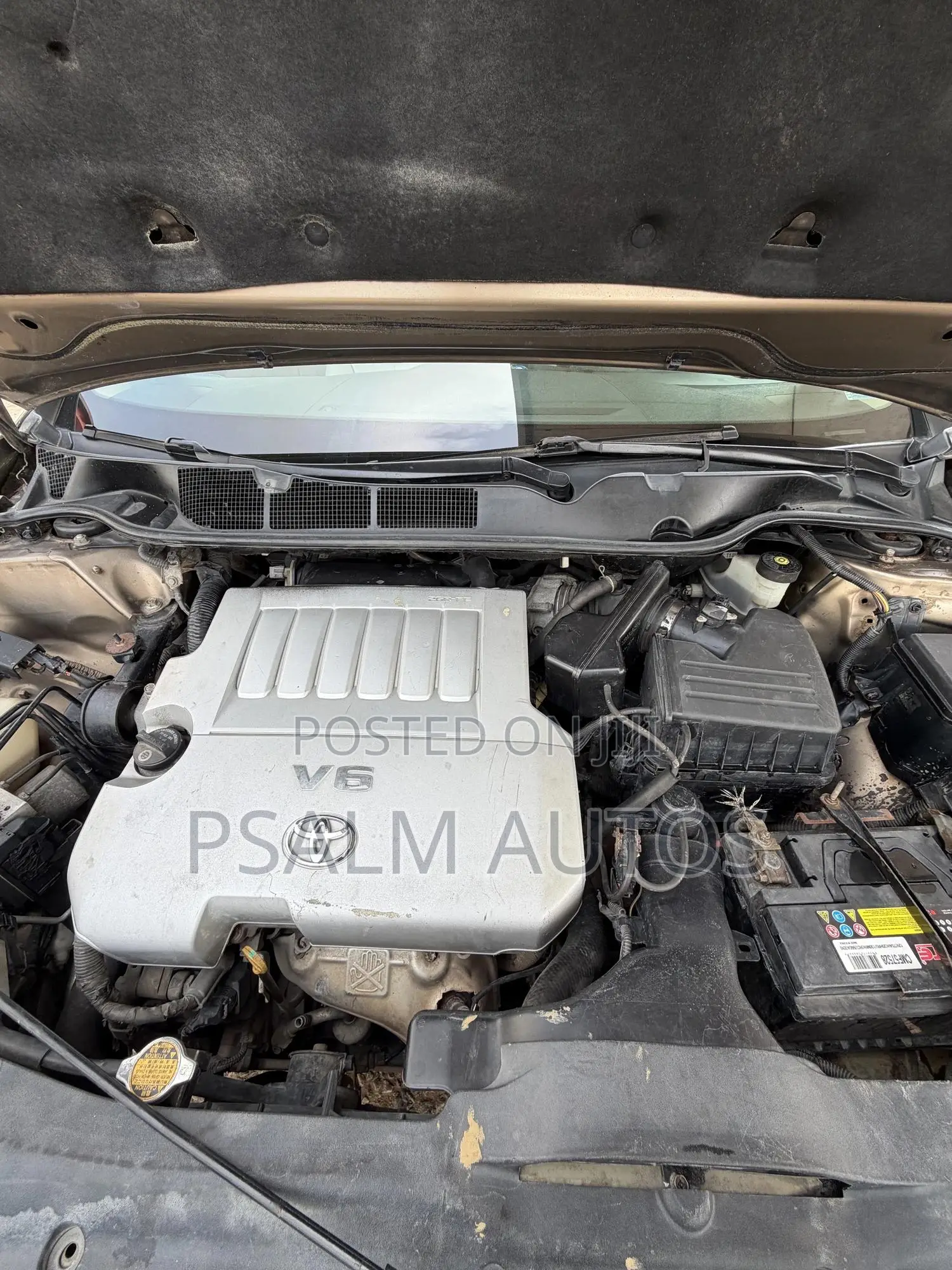 Toyota Venza 2010 Beige