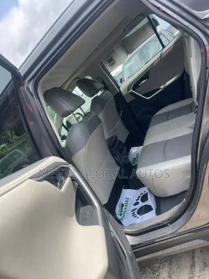 Toyota RAV4 Limited AWD 2020 Brown