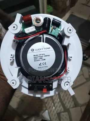 Original Lucky Tone Ceiling Speaker, 20watts, With Twitter