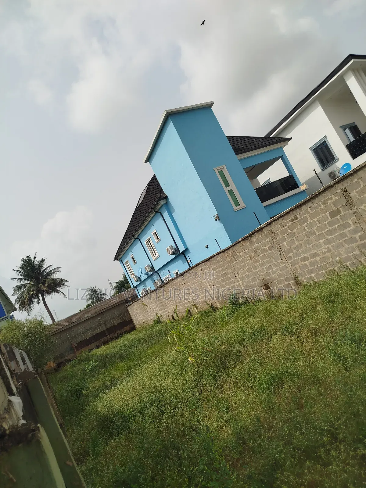 Virgin Land on Half Plot for Sale