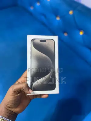 Apple iPhone 15 Pro Max 256 GB Gray