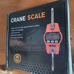 300kg Digital Hanging Hook Crane Scale