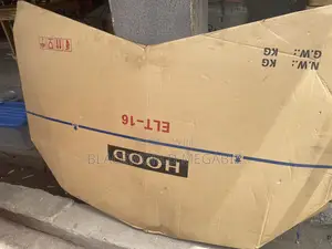 Bonnet Hyundai Elentra 016