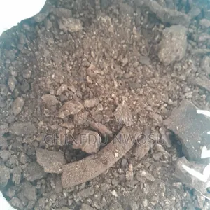 Palmkennel Cake(Pkc in Tonnes) Uncrushed