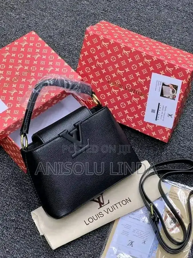 Louis Vuitton Bag