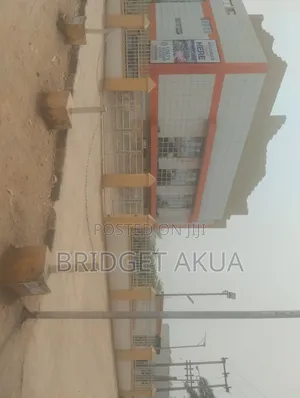 Affordable Today, Premium Tomorrow