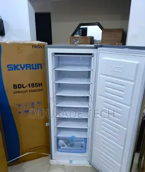 185 Litres Skyrun Upright Freezer BDL-185h - Silver Color