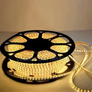 220voltage Rope Light