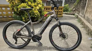 Haibike Enduro Ebike