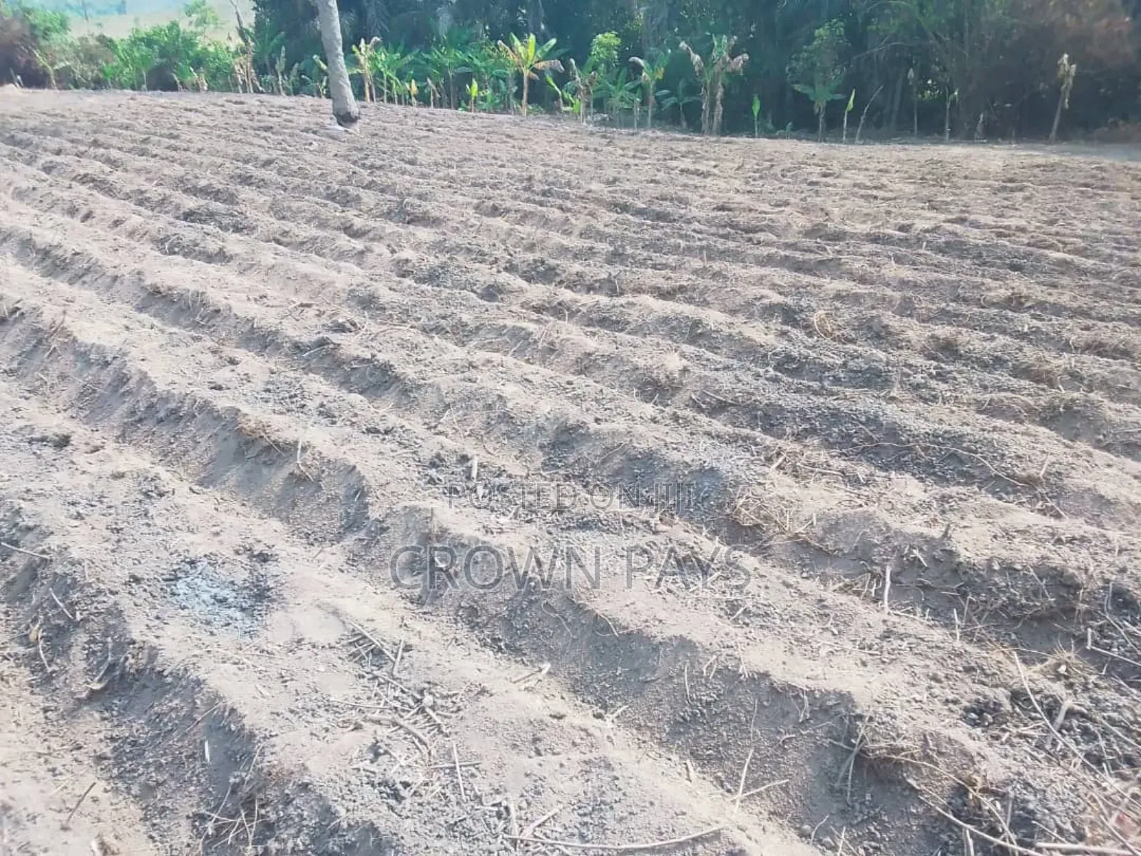 Farm Manager
