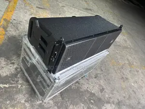 Lander Audio 10 Inch Line Array