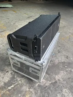 Lander Audio 10 Inch Line Array