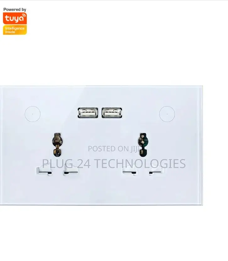 Tuya Double Wall Wifi Socket Type 1