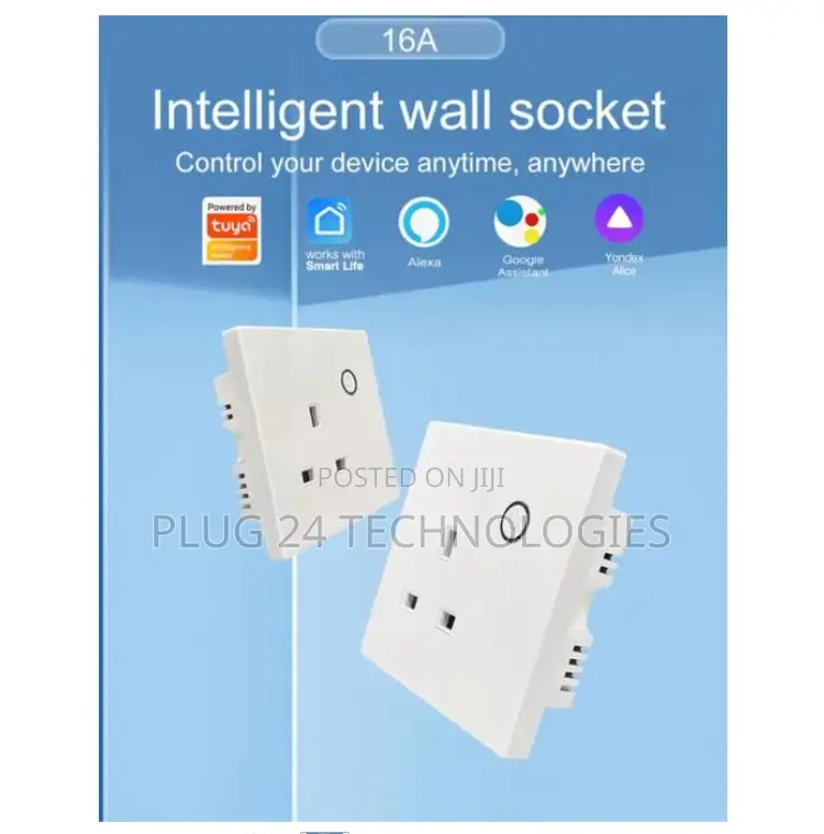 Tuya Single Wall Wifi Socket Type 1
