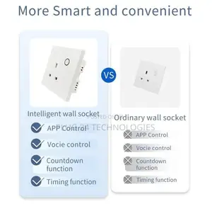 Tuya Single Wall Wifi Socket Type 1