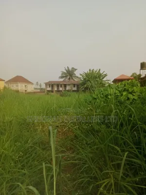A Full Plot of Land