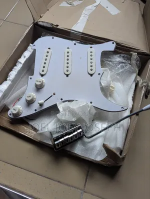 Pre-Wired Pickups, Pick Guard, Tremolo Bridge Block Whammy Bar, Etc.
