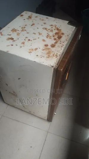 Old Bedside Fridge