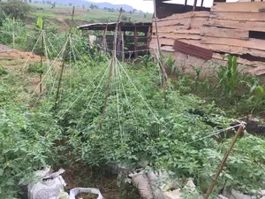 An Operational Farm for Sale. At Kuje Farm Land