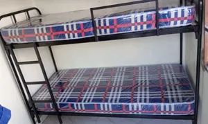 Twin Peaks Double Bunk Bed for Sale