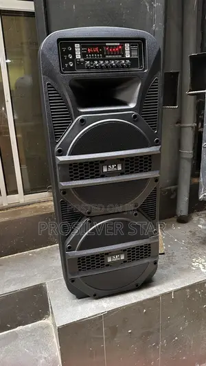 Soundprince Double 15inches Public Address System
