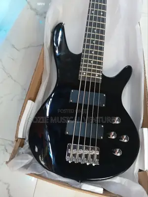 Fender Passive Bass Guitar Five String Back Colour