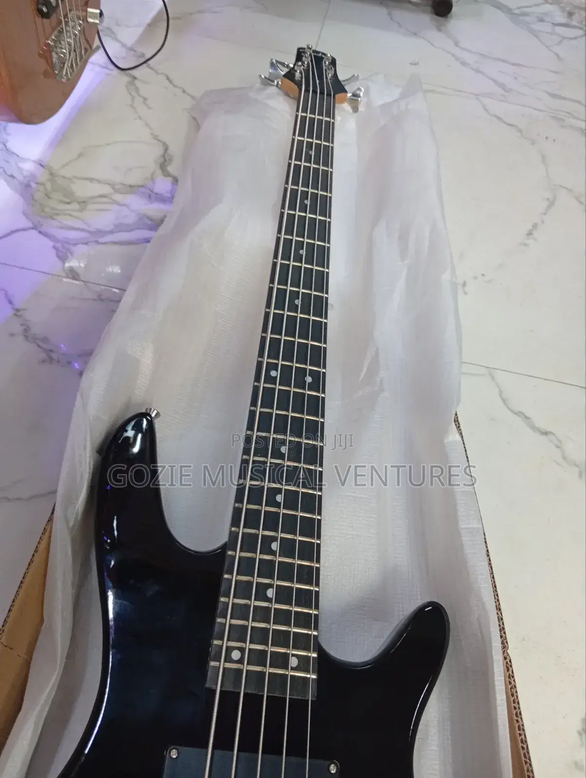 Fender Passive Bass Guitar Five String Back Colour