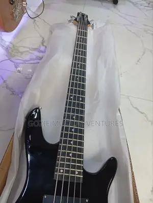Fender Passive Bass Guitar Five String Back Colour