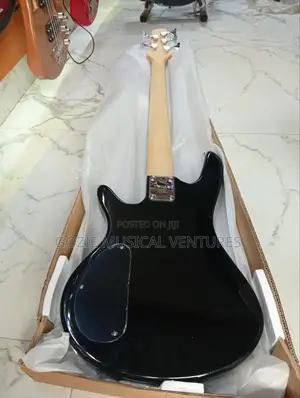 Fender Passive Bass Guitar Five String Back Colour