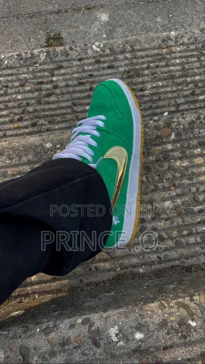 Nike Sb Dunk Sneakers