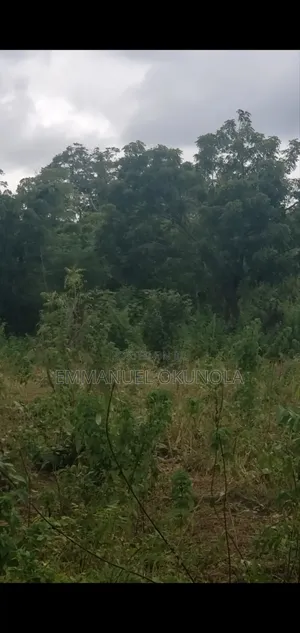 1 Plot of Land for Sale at #