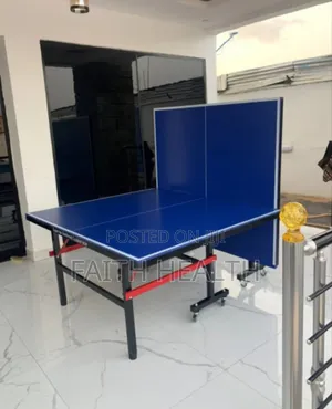 Premium Indoor/Outdoor Table Tennis Kit”