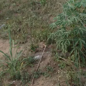 11 Plots of Land Available for Sale