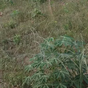 Land Selling Hot and Now