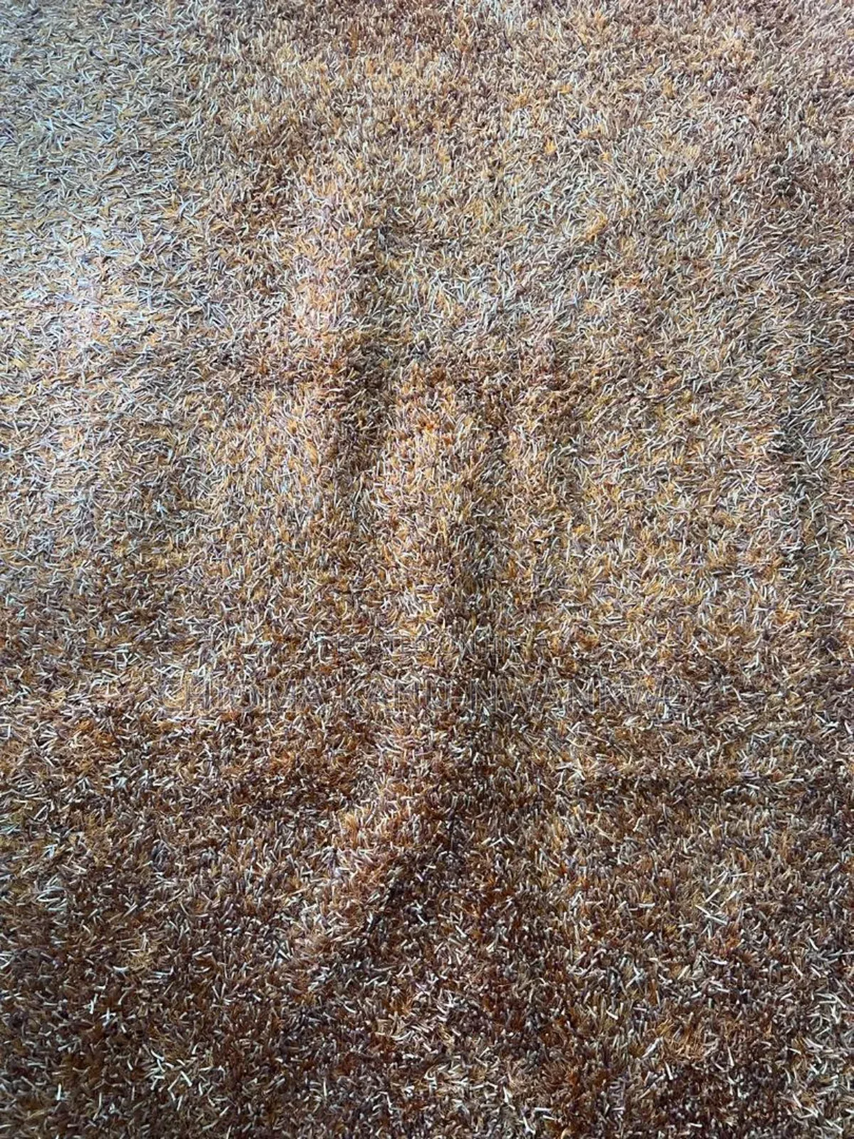 Rugs in Different Colours