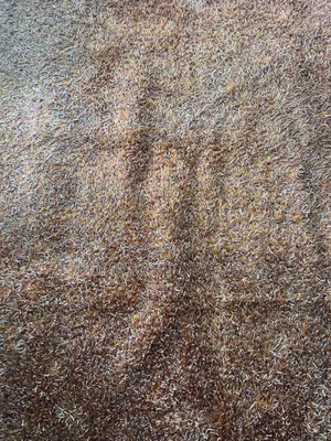 Rugs in Different Colours