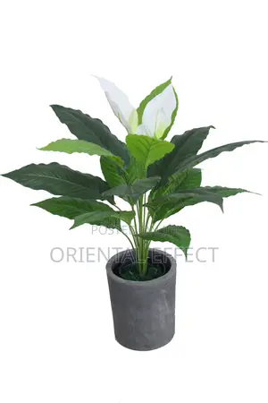Artificial Anthurium Plant 70cm – Elegant Indoor Decorative Plant