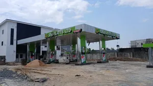 Brown New Fillistation
