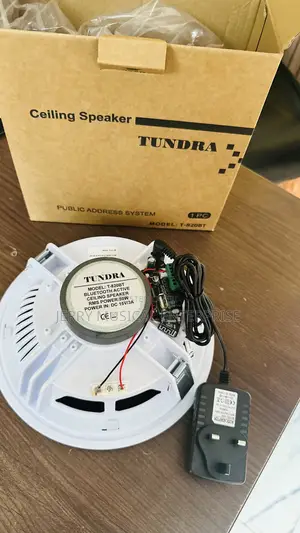 High Quality Sound Single Bluetooth Ceiling Speakers