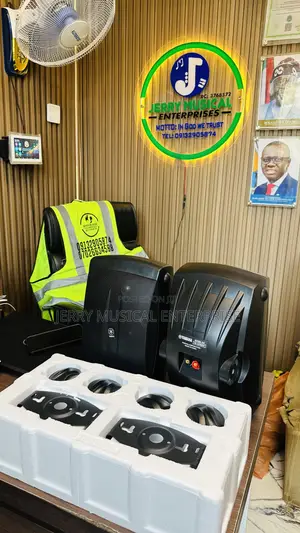 Professional Hanging Speakers For Hall Bar Restaurant Etc