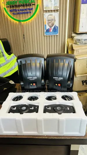 Professional Hanging Speakers For Hall Bar Restaurant Etc