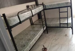 Double Trouble Bunk Bed for Sale
