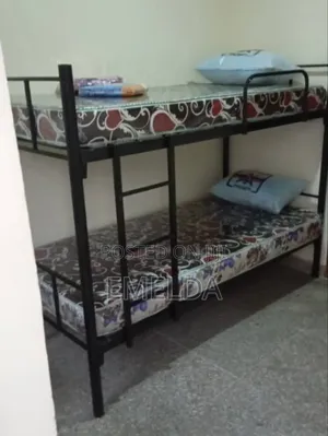 Height Haven Double Bunk Bed for Sale