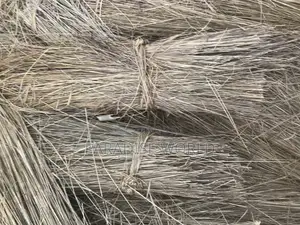 Thatch Grass