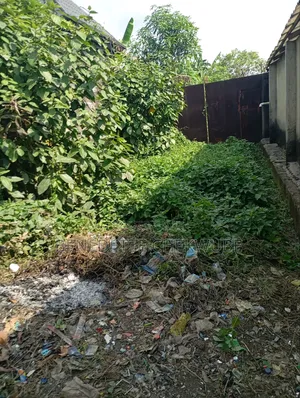 For Sale: One Plot of Land