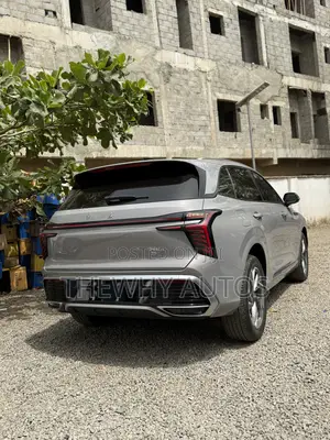 New Car 2025 Gray