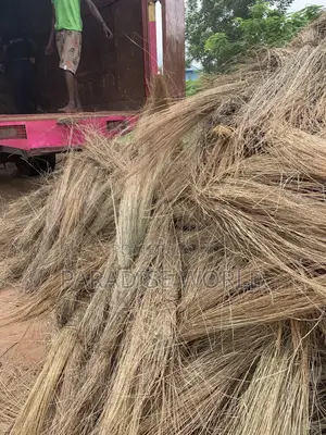 Thatch Grass