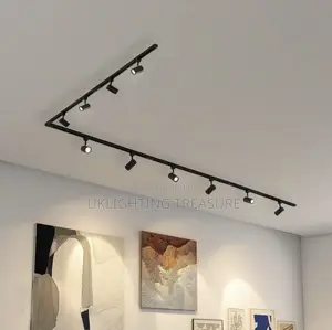 40w Track Light 3in1