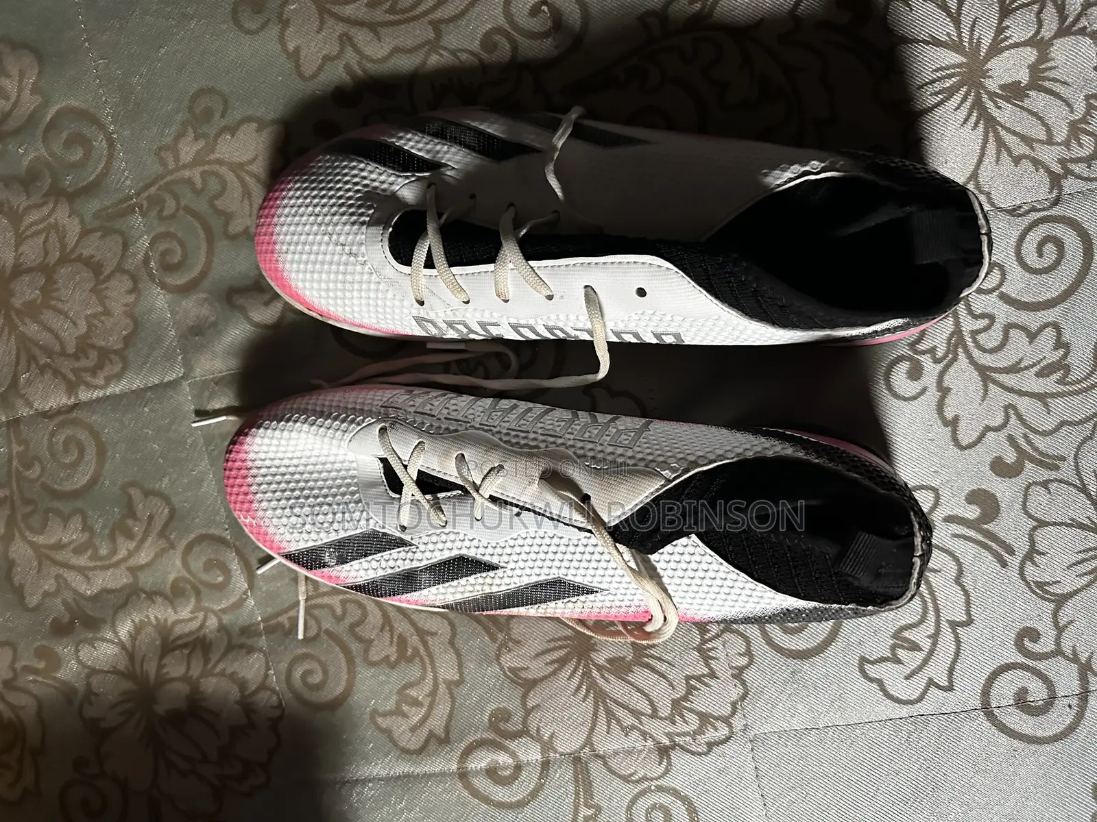 Predator Trainers